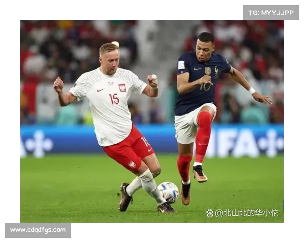 2023年法国与波兰激战回顾：巅峰对决中的精彩瞬间与惊艳时刻