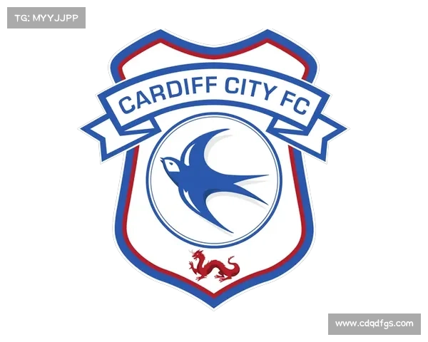 加的夫城足球俱乐部所属的英格兰足球联赛等级及其历史表现解析